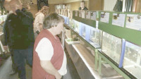 img12