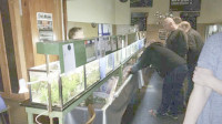 img36