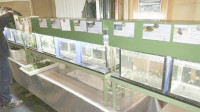 img56