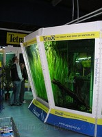 img31