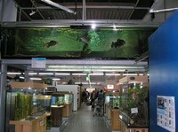 img34