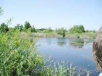 img41