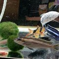 20161016_095803