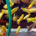 20161016_095821