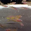 20161016_100057