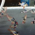 20161016_100108