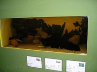 img20