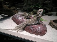 img30