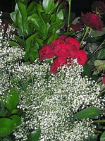 img47
