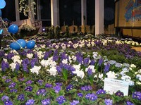 img58