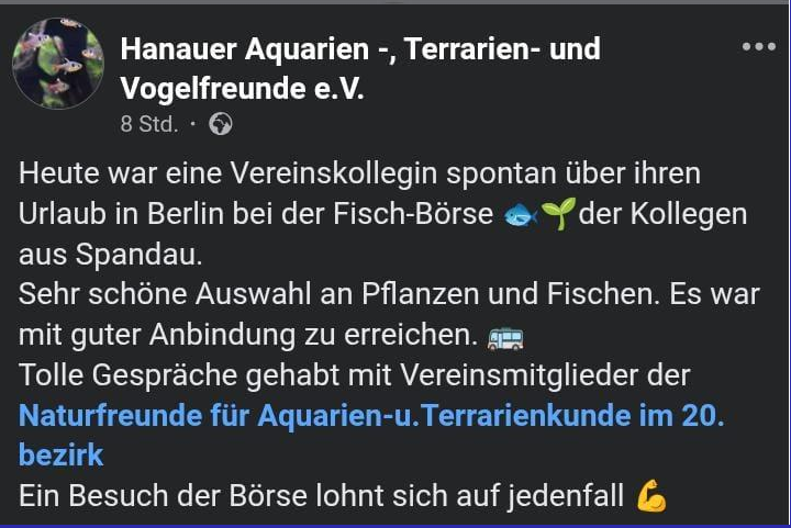 kommentar Hanau