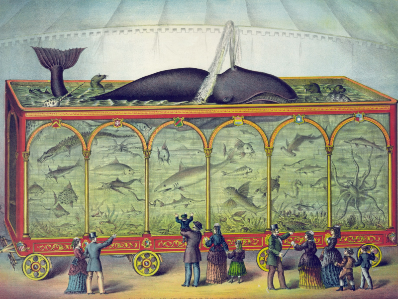 uraltes Aquarium im Museum- Malerei