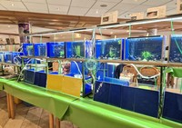img2