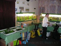 img22