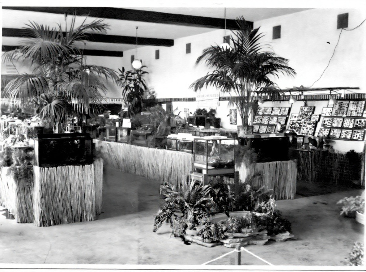 austellung 1952